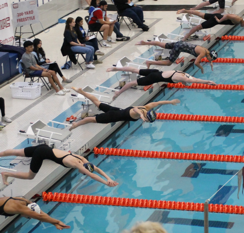 helena robla swimming event