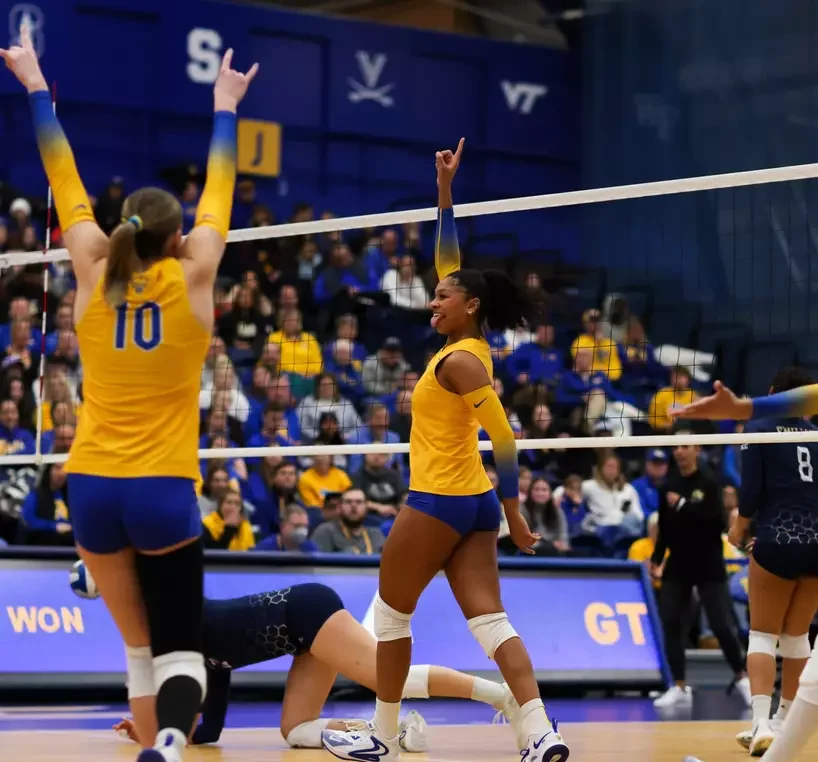 volleyball scholarships for international students