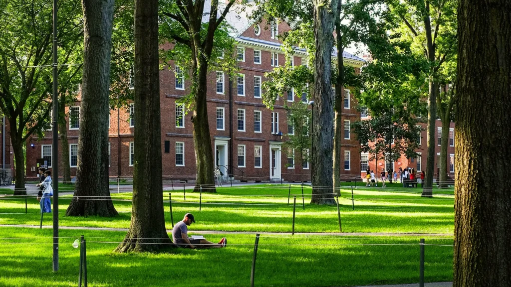 Campus with a man sat near a tree over green grass